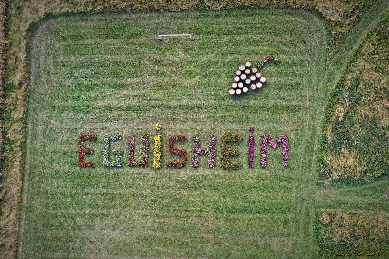 Gite Edelweiss A Eguisheim Exteriör bild